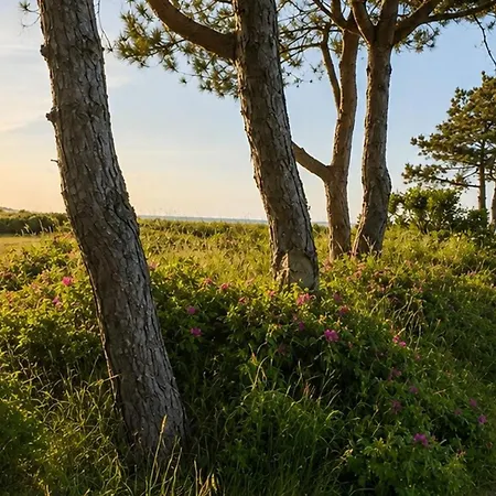 Feriehus Cosy 200 Meters From The Nyrup