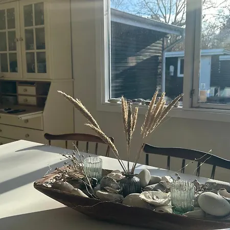 Charmigt Nära Havet